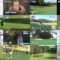 250125 Golf Cinderella 16 – ex-SKE48 Yamauchi Suzuran & ex-NMB48 Yamamoto Sayaka – HD.mp4
