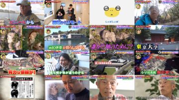 250129 Sekai no Nandakore! Mystery SP – ex-Nogizaka46 Matsumura Sayuri – HD.mp4