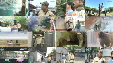 250129 THE BACKYARD – ex-Nogizaka46 Matsumura Sayuri – HD.mp4