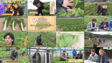 250202 Syumi no Engei Yasai no Jikan – ex-AKB48 Oya Shizuka – HD.mp4