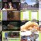 250202 Syumi no Engei Yasai no Jikan – ex-Nogizaka46 Akimoto Manatsu – HD.mp4