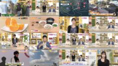 250205 Chiba Asa Live Morning Compass 0730 – ex-AKB48 Yoshikawa Nanase – HD.mp4