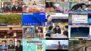 250208 Hayashi Osamu no Ima Shiritai Desho! – Hinatazaka46 Matsuda Konoka – HD.mp4