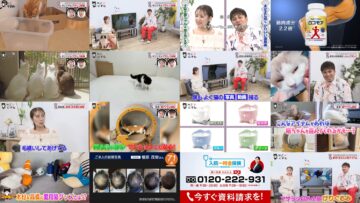 250216 Nekonism – ex-AKB48 Takahashi Minami – HD.mp4