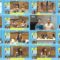 250217 Motto! Hinatazaka ni Narimashou 22 Extra Edition – FHD.mp4