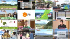 250218 Local Rosen Bus Noritsugi Tabi Z! – ex-AKB48 Oshima Mai – HD.mp4