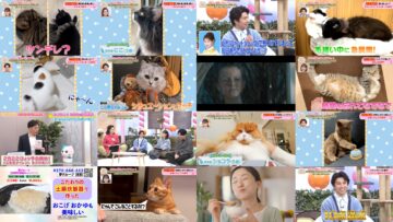 250222 Konya Kettei! Kawaii Nyan Grand Prix – ex-AKB48 Maeda Atsuko – HD.mp4