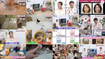 250222 Nekonism – ex-AKB48 Takahashi Minami – HD.mp4