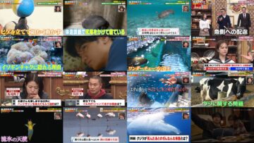 250303 Yobidashi-sensei Tanaka – ex-HKT48 Murashige Anna – HD.mp4