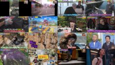 250310 Sekai Marumie! Dai Idou SP – ex-Hinatazaka46 Saito Kyoko – HD.mp4