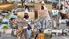 250310 Ura Namba Chan – NMB48 – FHD.mp4