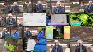 250315 Syumi no Engei Yasai no Jikan – ex-AKB48 Oya Shizuka – HD.mp4