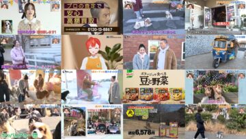 250318 Inu Jikan – ex-AKB48 Shimazaki Haruka – HD.mp4