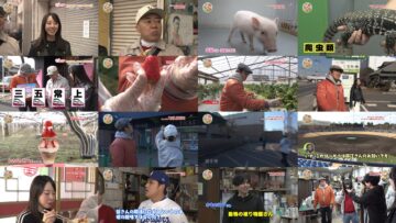 250322 Shichouson Tekuteku Sanpo – ex-NMB48 Fujie Reina – HD.mp4