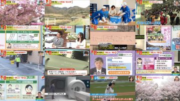 250328 Miyane-ya – ex-SKE48 Suda Akari – HD.mp4