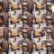 250402 Nekojita SHOWROOM – Nogizaka46 – FHD.mp4