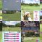 250405 Golf Cinderella 01 – ex-SKE48 Yamauchi Suzuran – HD.mp4