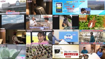 250406 Nichiyou Special – ex-Sakurazaka46 Sugai Yuuka – HD.mp4