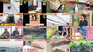 250410 Tanoshiku Manabu! Sekai Douga News & Hayashi Osamu no Ima Shiritai Desho! Combined SP – Nogizaka46 Ioki Mao – HD.mp4