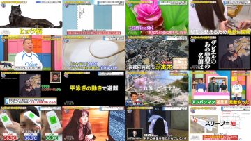 250412 Chan House – AKB48 Oguri Yui – HD.mp4