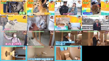 250412 Doyou wa Dameyo! – NMB48 Deguchi Yuina, Abe Wakana – HD.mp4