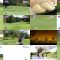 250412 Golf Cinderella 02 – ex-SKE48 Yamauchi Suzuran – HD.mp4