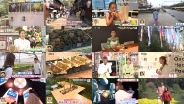 250426 Asa da! Nama Desu Tabi Salad – ex-AKB48 Takahashi Minami – HD.mp4