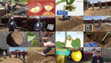 250427 Syumi no Engei Yasai no Jikan – ex-AKB48 Oya Shizuka – HD.mp4