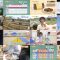 250502 Chiba Asa Live Morning Compass 0730 – ex-AKB48 Yoshikawa Nanase – HD.mp4