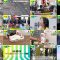250502 DayDay. – Hinatazaka46 Matsuda Konoka & ex-NMB48 Shibuya Nagisa – HD.mp4