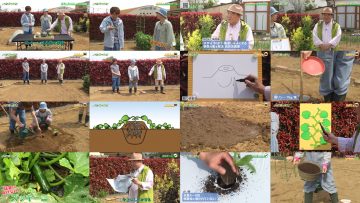 250504 Syumi no Engei Yasai no Jikan – ex-AKB48 Oya Shizuka – HD.mp4