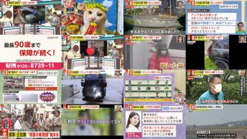 250516 Miyane-ya – ex-SKE48 Suda Akari – HD.mp4