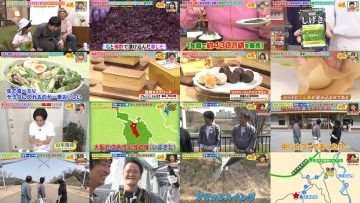 250516 Osaka Honwaka TV – ex-NMB48 Shibuya Nagisa – HD.mp4