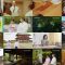 250518 Kyuujitsu no Asa wa Tabi ni Deyou – ex-AKB48 Onishi Momoka – HD.mp4