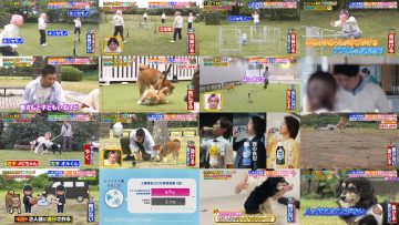 250523 Wannyan Kansatsu Animal Ring – ex-Nogizaka46 Matsumura Sayuri – HD.mp4