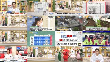 250530 Chiba Asa Live Morning Compass 0645 – ex-AKB48 Yoshikawa Nanase – HD.mp4