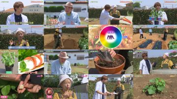 250601 Syumi no Engei Yasai no Jikan – ex-AKB48 Oya Shizuka – HD.mp4