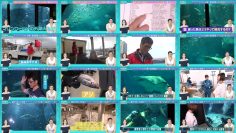 250607 Hatena no Ten – ex-HKT48 Murashige Anna – FHD.mp4