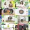 250620 DayDay. – ex-AKB48 Kawaei Rina, Noro Kayo – HD.mp4