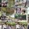 250620 Nogizaka Asobu Dake 69 [Ichihara Zoo no Kuni de Asobou!] – FHD.mp4