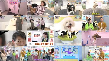 250621 Inu Jikan – ex-AKB48 Shimazaki Haruka – HD.mp4