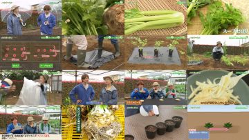 250622 Syumi no Engei Yasai no Jikan – ex-AKB48 Oya Shizuka – HD.mp4