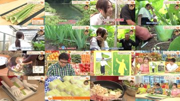 250626 Umai! – ex-SKE48 Suda Akari – HD.mp4