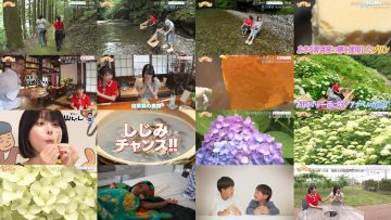 250629 Choitabii – ex-AKB48 Onishi Momoka – HD.mp4