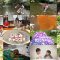 250629 Choitabii – ex-AKB48 Onishi Momoka – HD.mp4