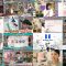 250630 Geki Rea-san wo Tsurete Kita. – ex-NMB48 Shibuya Nagisa – HD.mp4