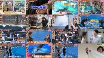 250706 Kizzu ga Miteru! Moshimo Tarento Ja Nakattara – Equal LOVE Otani Emiri – HD.mp4