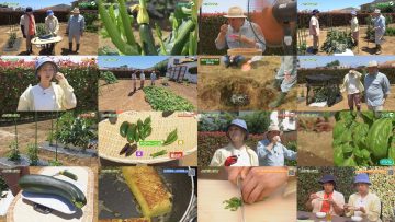 250706 Syumi no Engei Yasai no Jikan – ex-AKB48 Oya Shizuka – HD.mp4