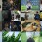 250712 Revenge Spy 02 – ex-NMB48 Shibuya Nagisa – HD.mp4