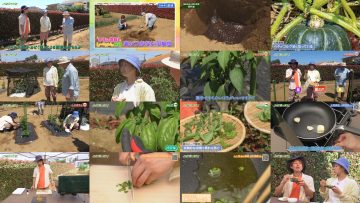 250712 Syumi no Engei Yasai no Jikan – ex-AKB48 Oya Shizuka – HD.mp4